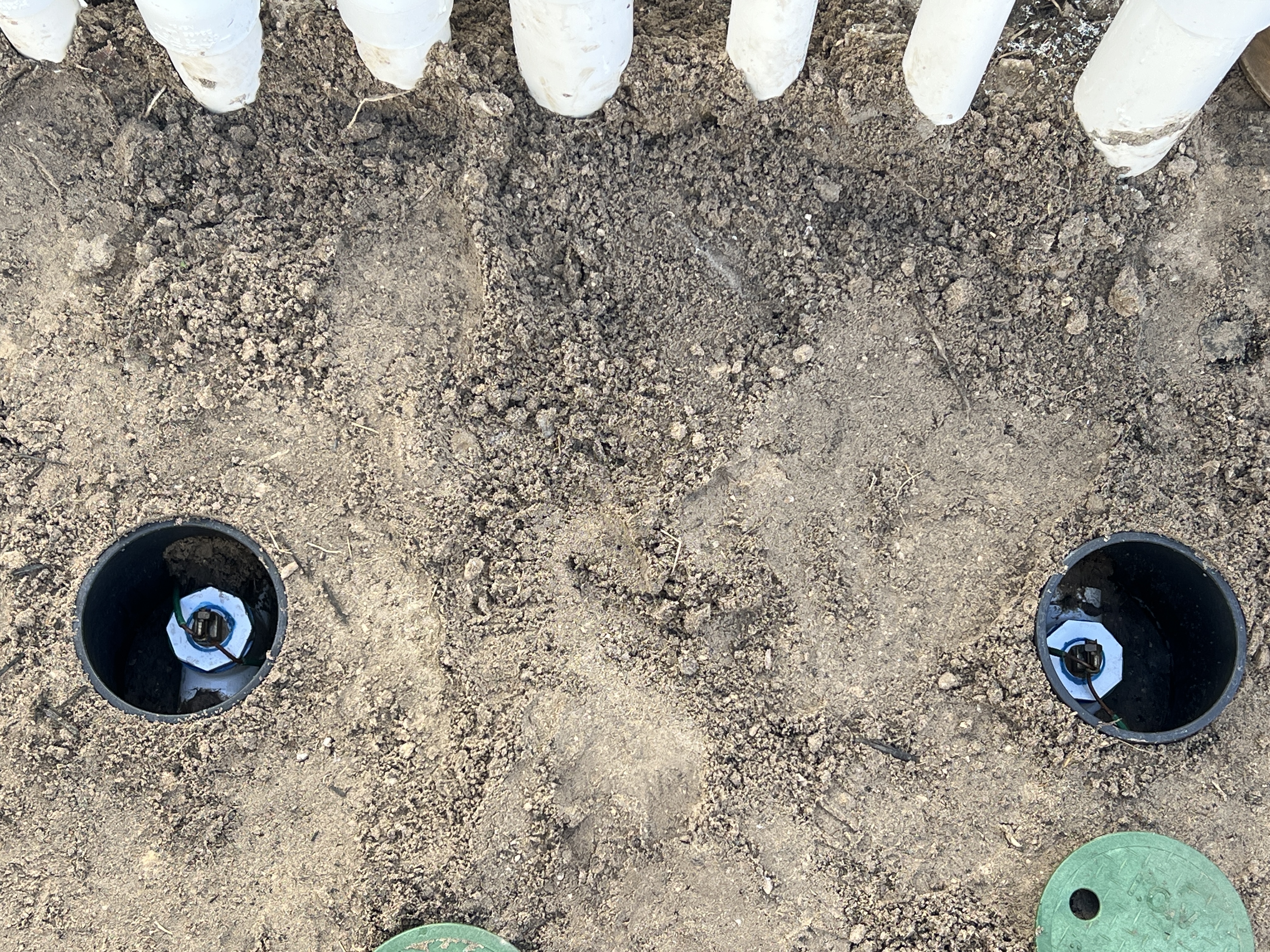 Imagem de David Brown