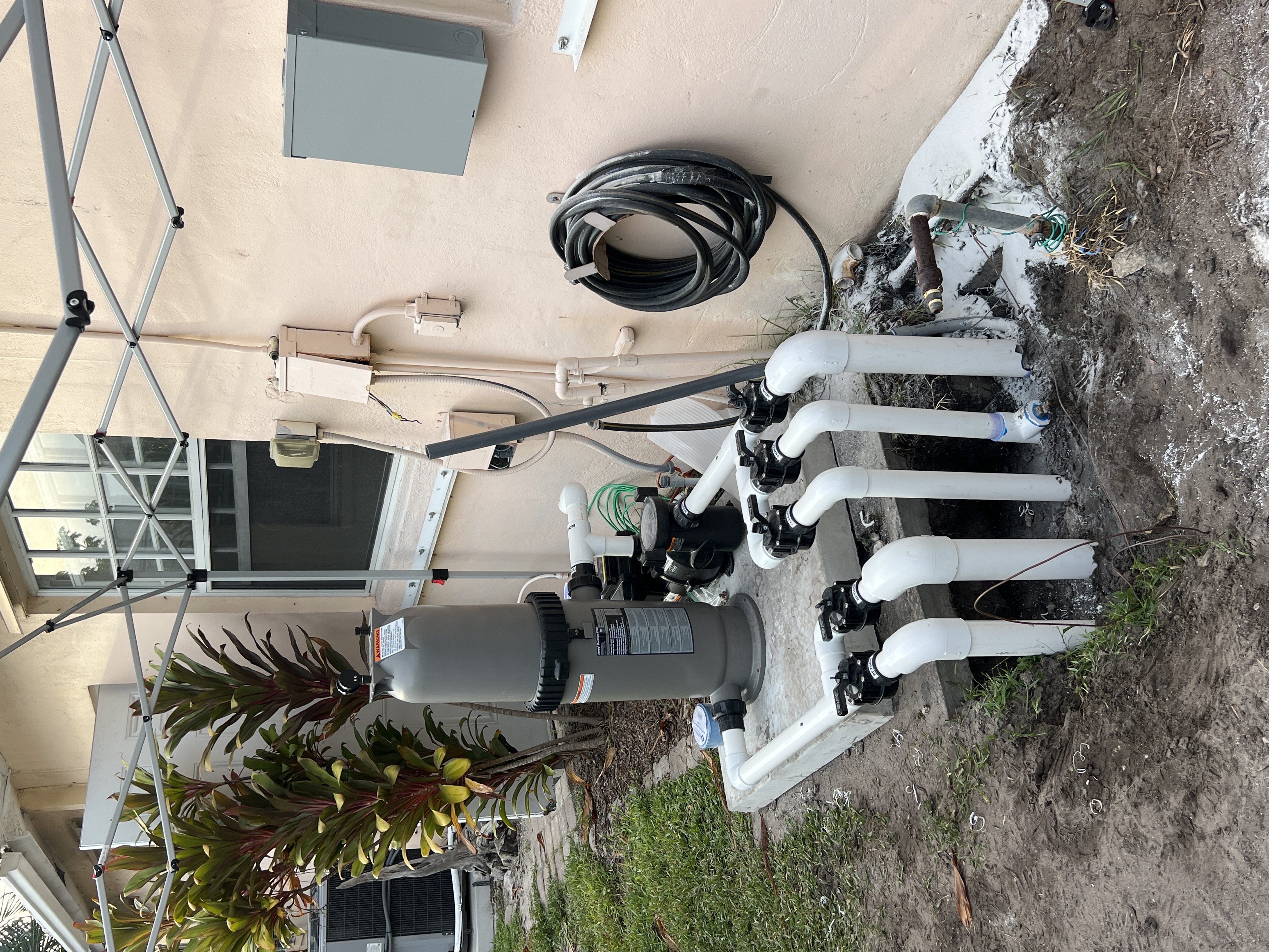 Imagem de Mary  Murphy