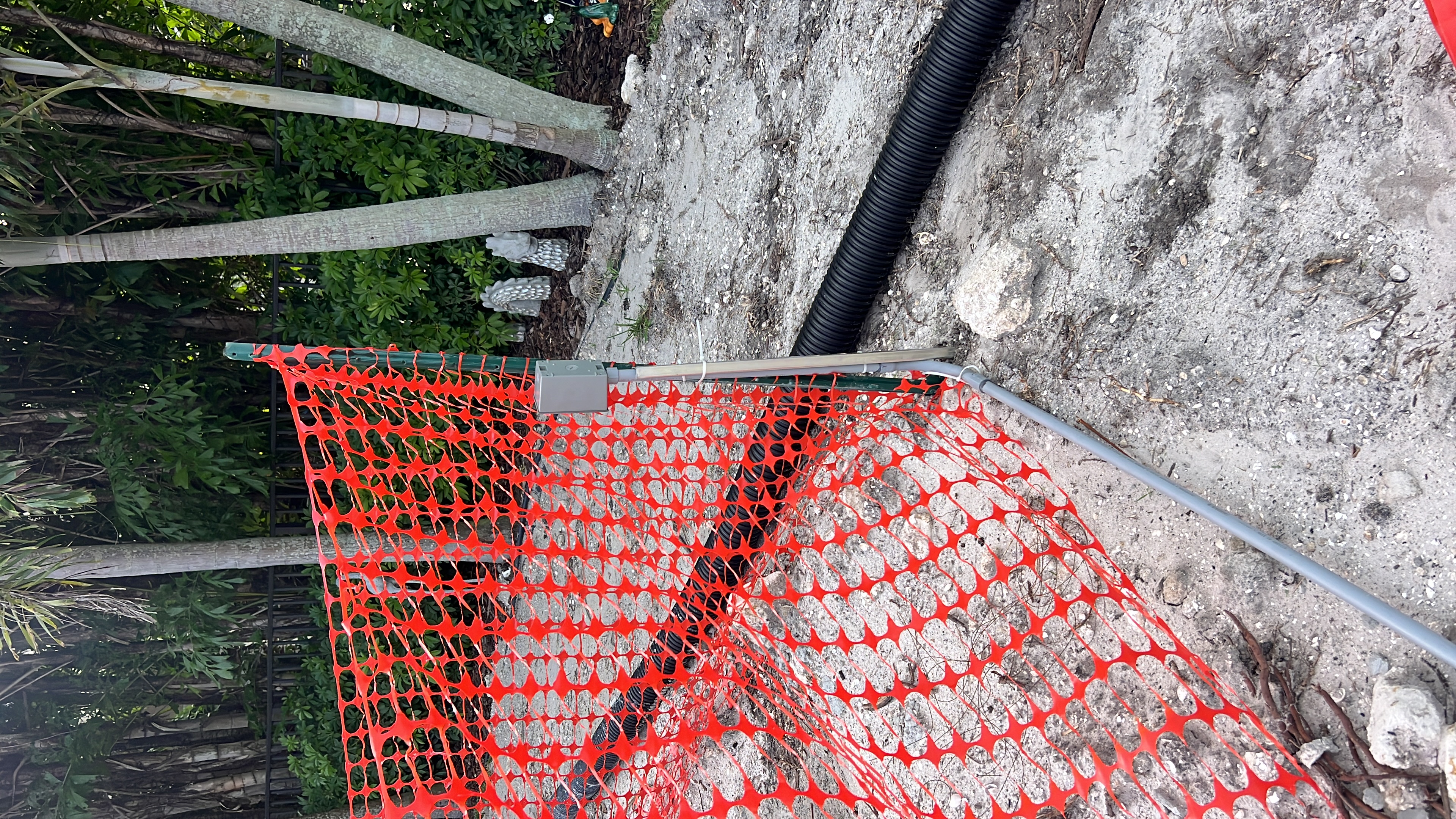 Imagem de Roula Karavitis