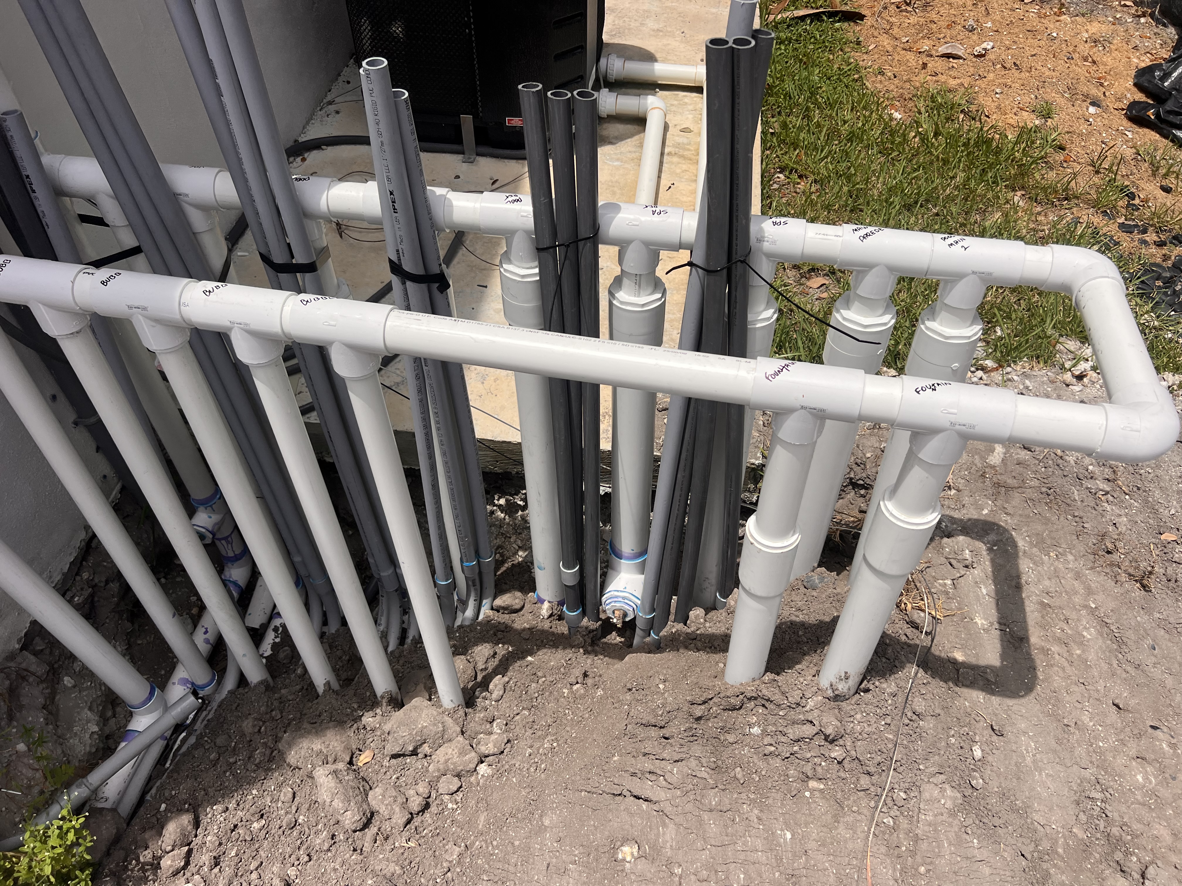 Imagem de Zuccarelli